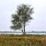 5 Person In Ansager-by Traum * Ansager