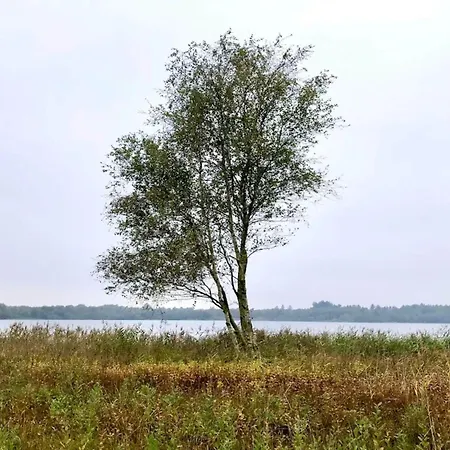 5 Person In Ansager-by Traum * Ansager