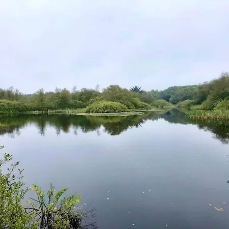 5 Person In Ansager-by Traum